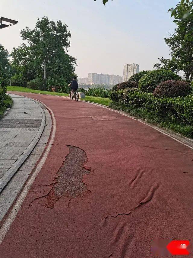杏彩体育app最新版绍兴一公园发生市民吐槽！